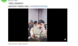 狐狸爆料李海海视频播放,揭秘背后真相