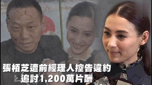 娱乐吃瓜咩